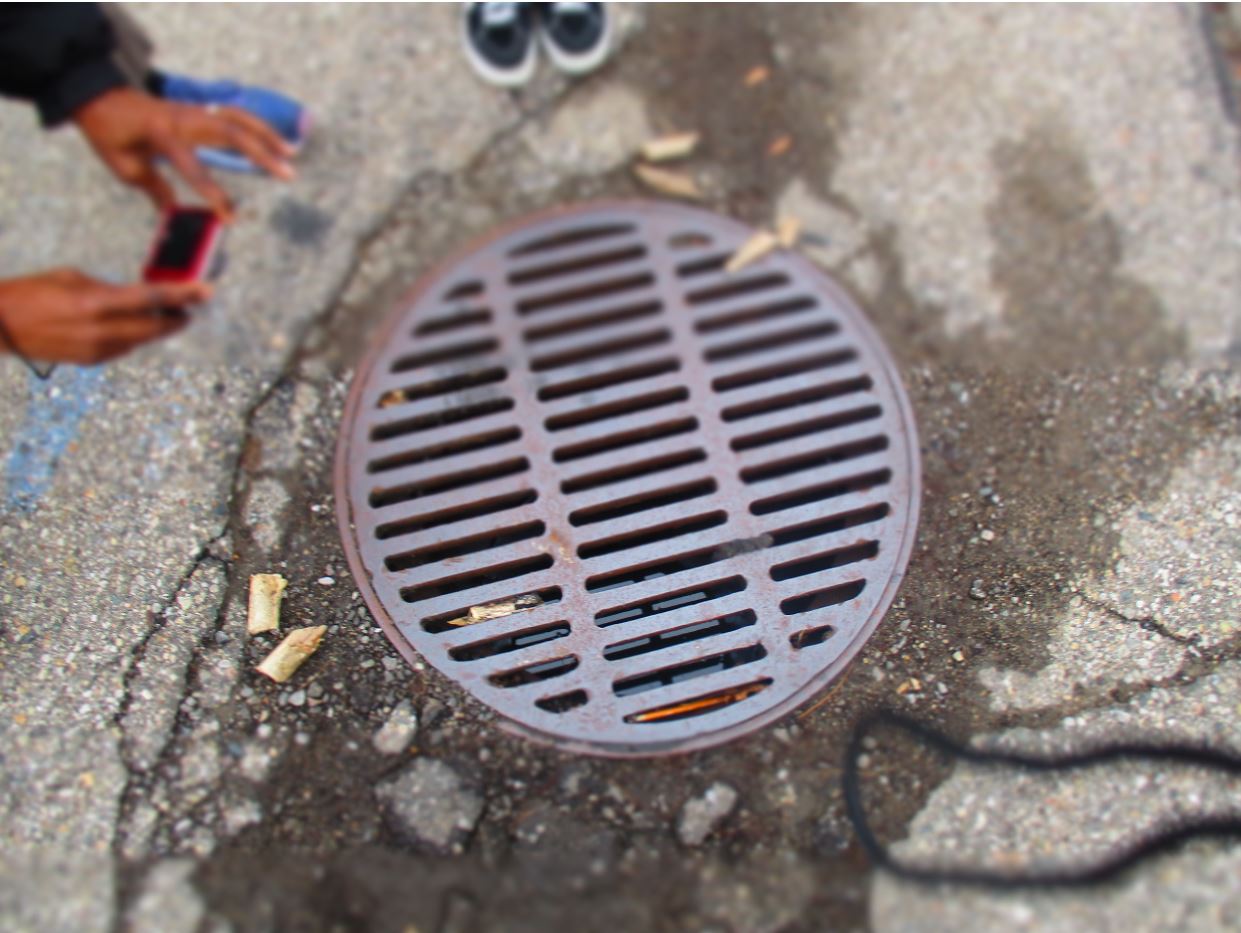 Students take photos of storm drains near their school campus. 