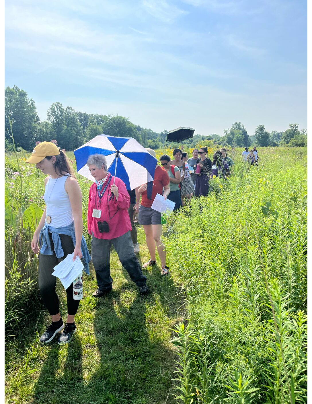 Summer Institute 2025