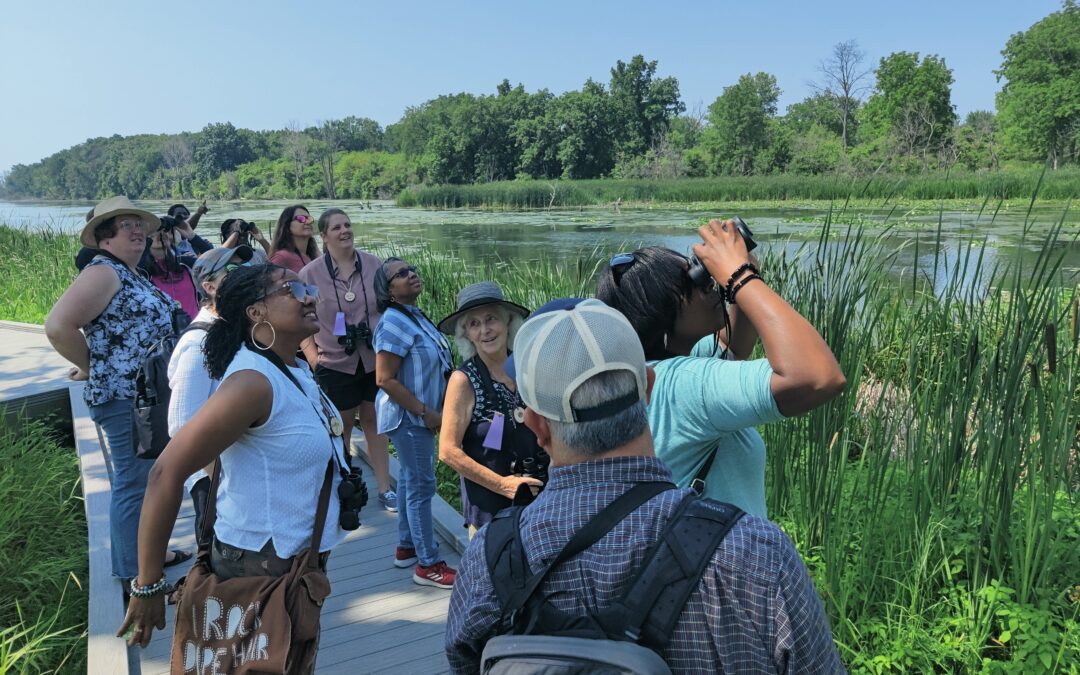 Attendees stare up at an unusual site of a fish skull that had been dropped by a bird of prey into a decaying tree trunk at the Detroit River International Wildlife Refuge