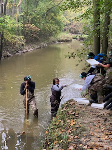 Two educators are knee deep in the rouge river. Three students on the leaf covered bank of the river reach out to hand them testing materials.