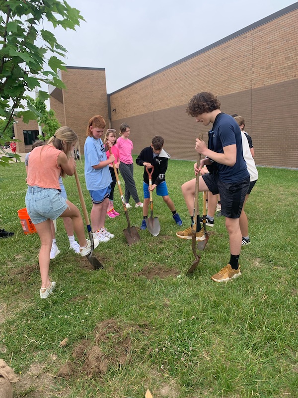 Several Maltby students are using shovels to dig a hole to plant a tree. The tree is next to them.