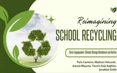 Reimagining School Recycling
