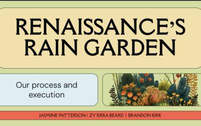 Renaissance’s Rain Garden