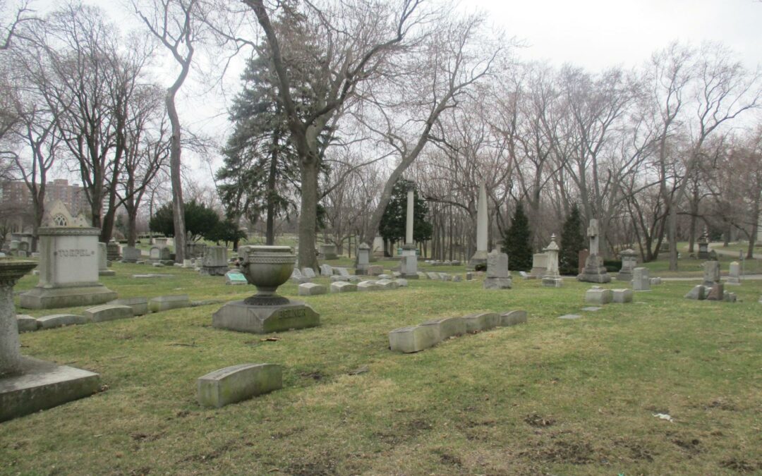 A grassy cemetery filled with gravestones of various sizes and trees