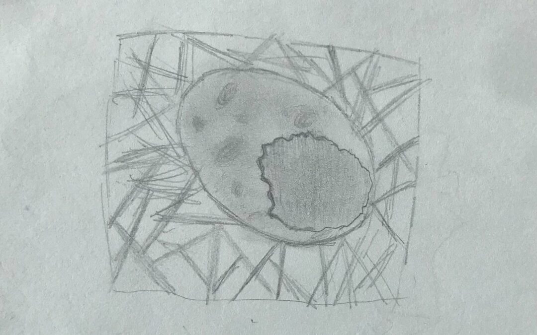 A black and white pencil drawing of an egg with a hole cracked into it, laying on the ground