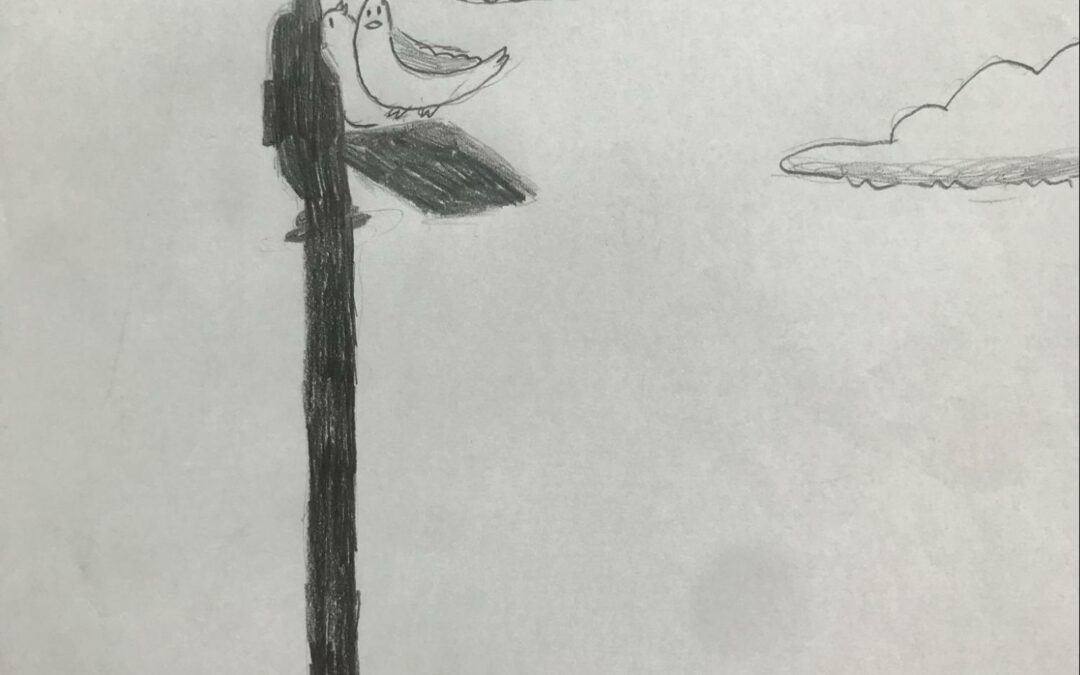 A black and white drawing of a seagull sitting on a lamp post, with two clouds in the background