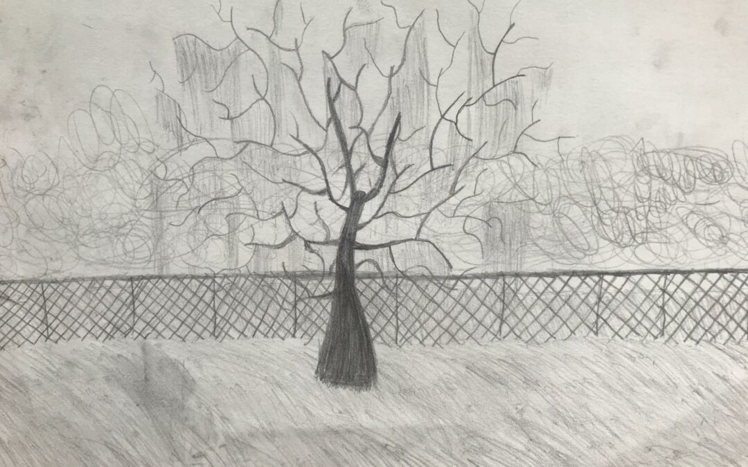 Black and white pencil drawing of a tree in Belle Isle Michigan, with a chainlink fence in the background