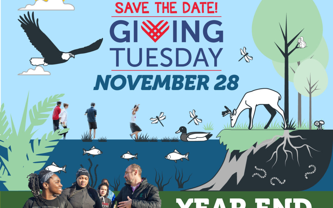 Save the Date for the SEMIS Coalition’s #GivingTuesday Year End Kick-Off!