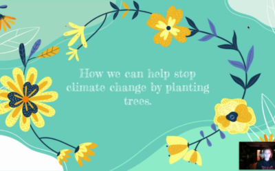 How We Can Help Stop Climate Change By Planting Trees