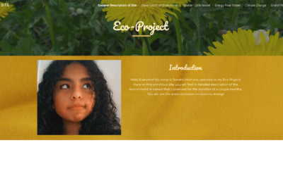 Sandra’s Eco-Project