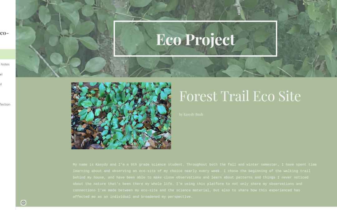 Kasydy’s Eco-Project