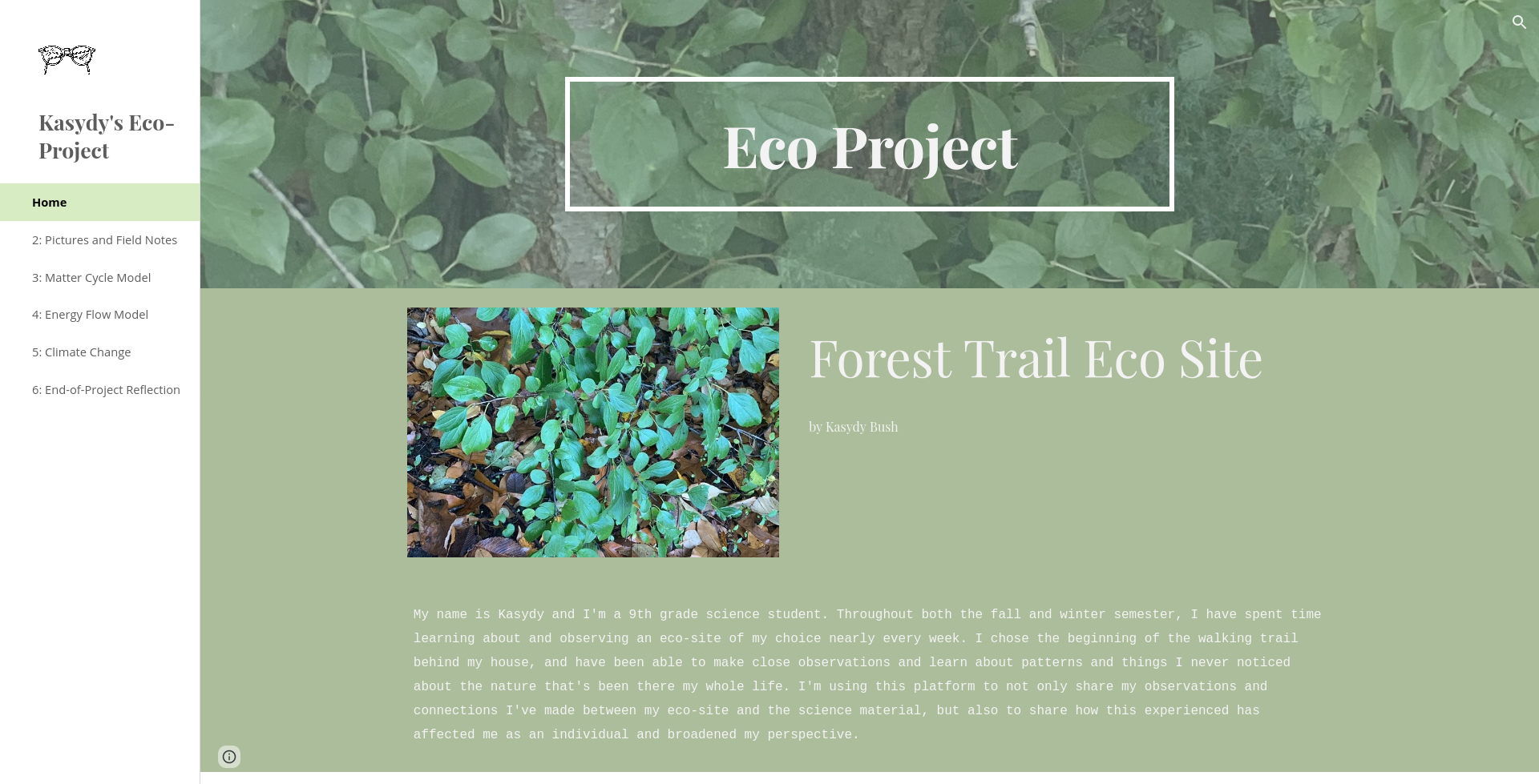 Kasydy's Eco-Project - Southeast Michigan Stewardship Coalition
