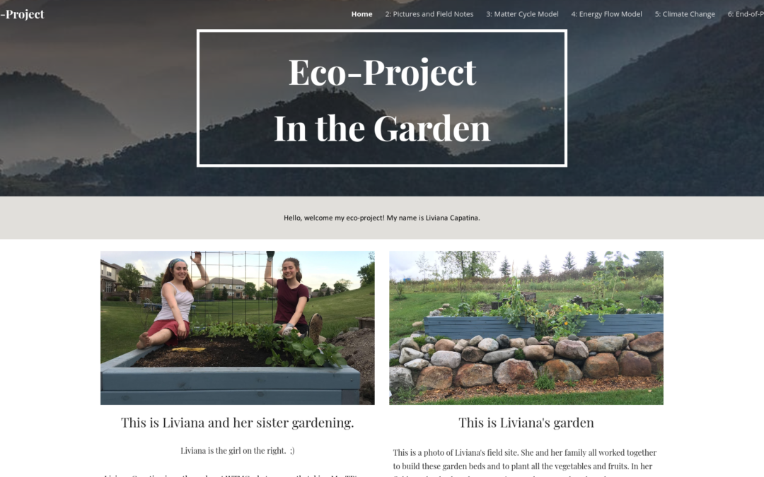 Liviana’s Eco-Project