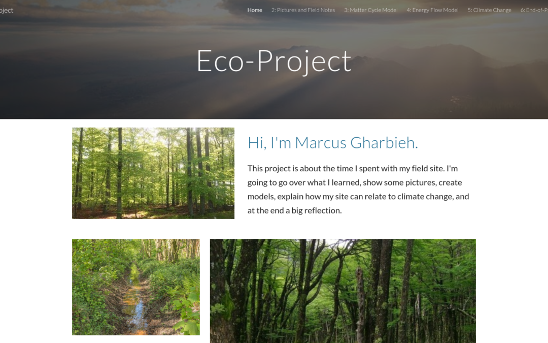 Marcus’s Eco-Project