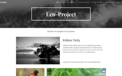 Rahma’s Eco-Project