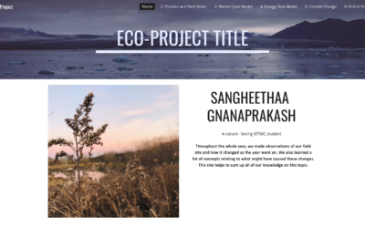 Sangheethaa’s Eco-Project