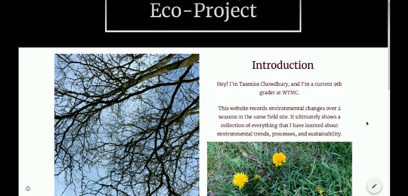 Tasmiea’s Eco-Project